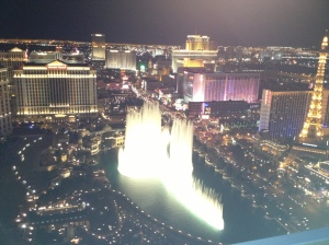 Another Belagio View